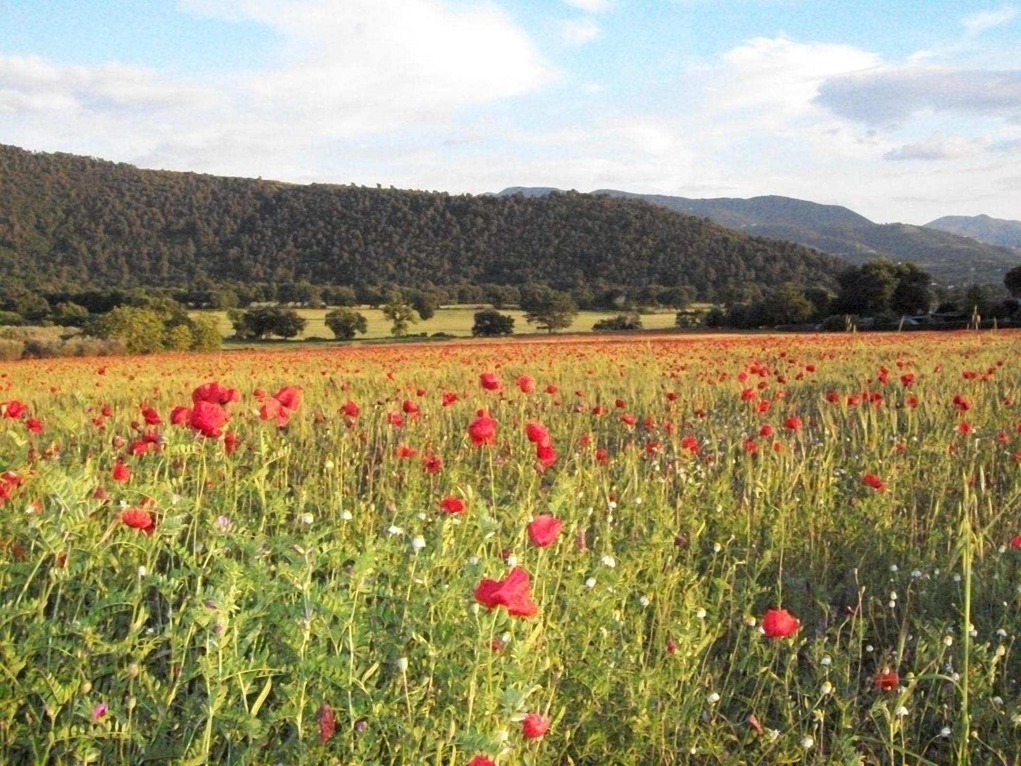Agriturismo Il Casalino Сполето Экстерьер фото